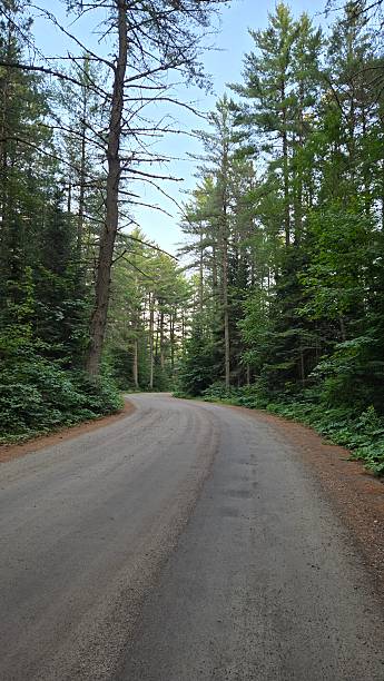istock Mew Lake Campground Road 2228217141