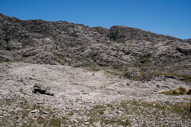 Panorama view of the rocky mountains in a sunny summer day with a clear sky