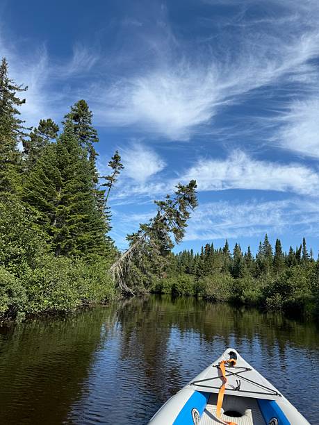 istock Summer morning in Mont Tremblant national park 2228220363