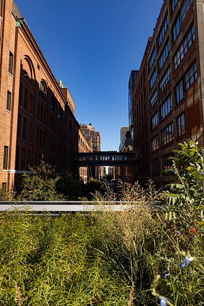istock The High Line elevated park in New York 2228221156