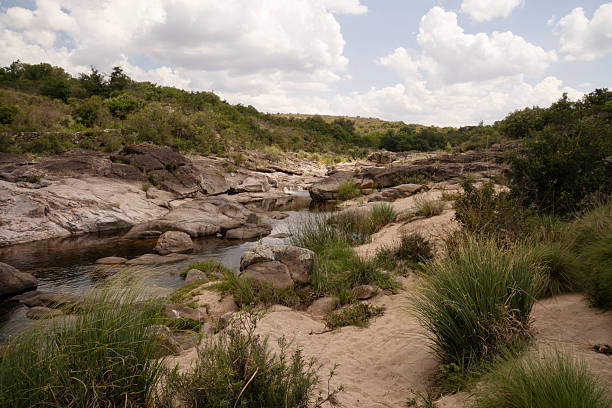 View of the stream flowing across the green meadow in the hills in Trompa de Elefante natural reserve in Cordoba, Argentina.