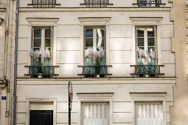 A Parisian building facade, showcasing three elegant windows adorned with potted plants and pampas grass.  Soft sunlight casts shadows on the creamy-beige stucco. Ideal for real estate, travel, or home dÃ©cor advertising.  The image evokes a serene, sophisticated mood.