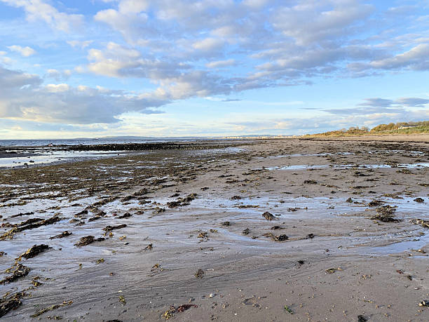 istock A view of Ayr Beach 2228229015