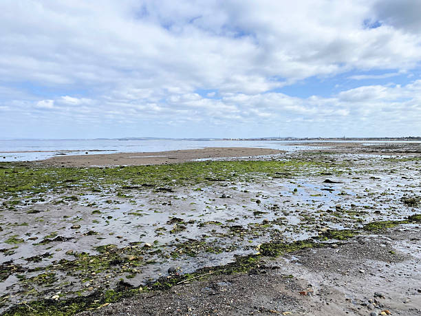 istock A view of Ayr Beach 2228229018