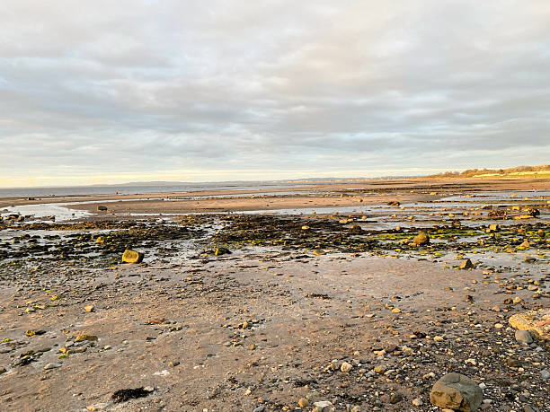 istock A view of Ayr Beach 2228229230