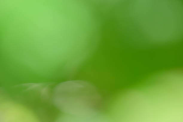 istock Soft green blurred background with natural bokeh effect, creating a serene atmosphere ideal for design projects, presentations, or as a calming backdrop for various uses 2228240200