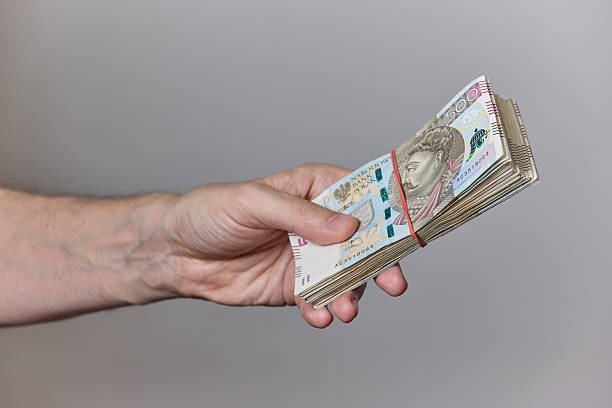 istock Hand Holding Polish Zloty Banknotes on Neutral Background 2228242975