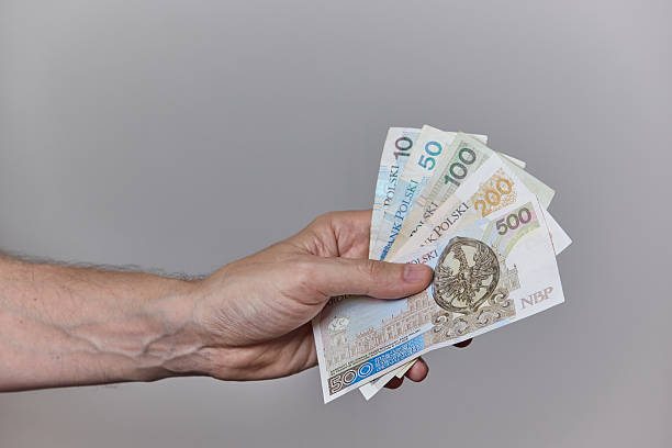 istock Hand Holding Polish Zloty Banknotes on Neutral Background 2228243146