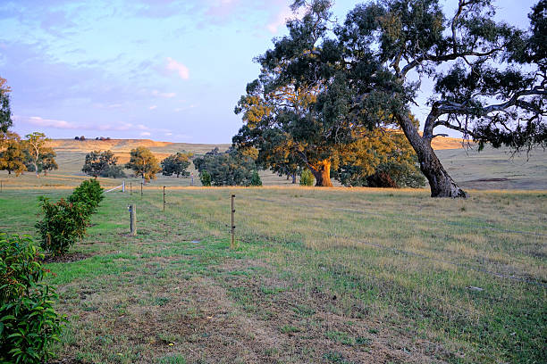 istock Mansfield,  Victoria, Australia 2228245738