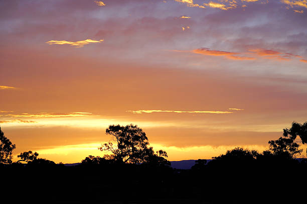 istock Mansfield,  Victoria, Australia 2228246151