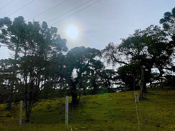 istock Rural scene in Santa Catarina 2228246647