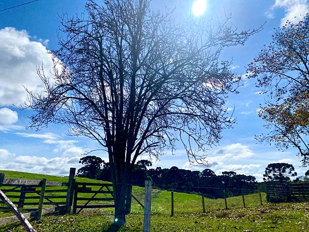 istock Rural scene in Santa Catarina 2228246669