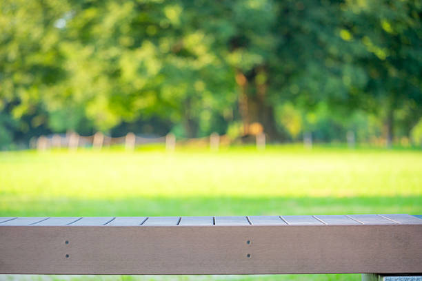 Podium - old beautiful log bench for product display against the backdrop of a backyard on a summer day, copy space
