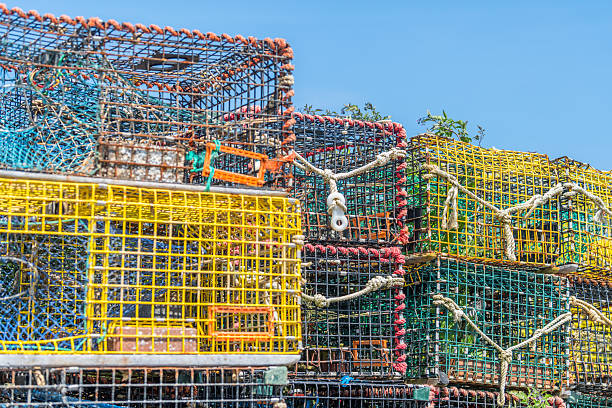istock New England lobster traps 2228263339