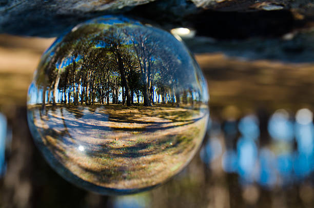 istock Green Forest view in clear crystal glass ball. 2228264586