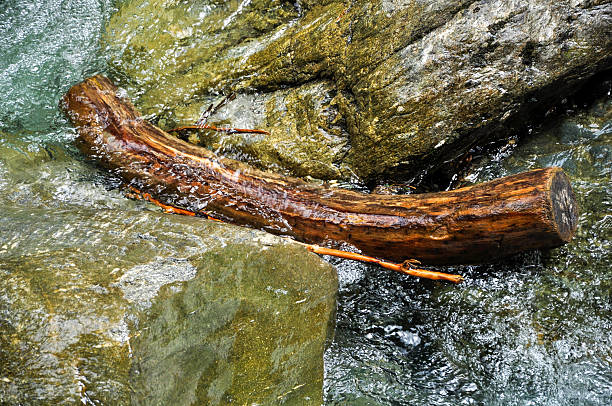 a canyon in the mountains in Austria with traces of snow, melting into the river and a waterflow.