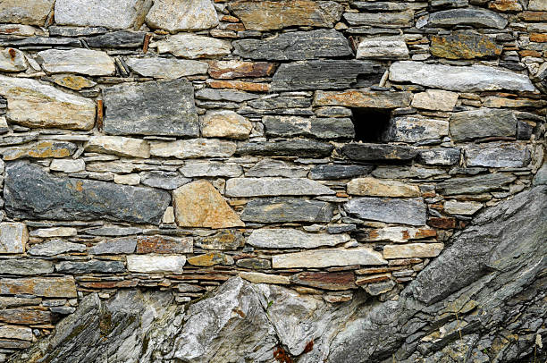 istock houses with historical architecture 2228276123