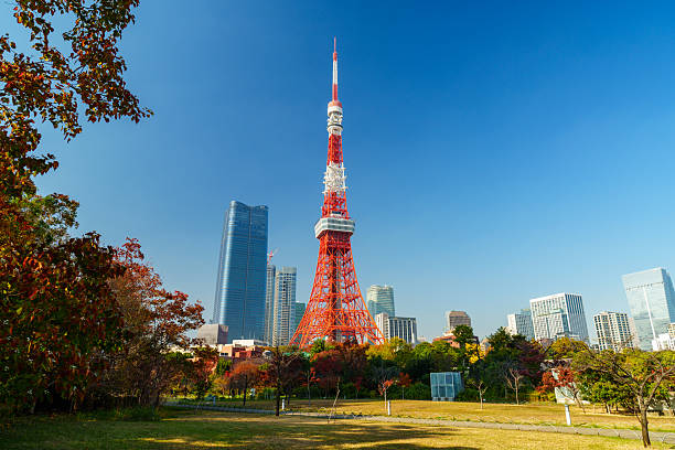 istock Distant View of Tokyo Tower from Shiba Park 2228279202