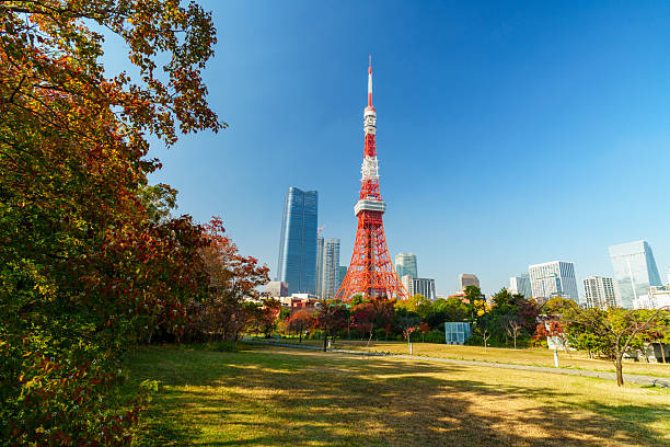 istock Distant View of Tokyo Tower from Shiba Park 2228279228