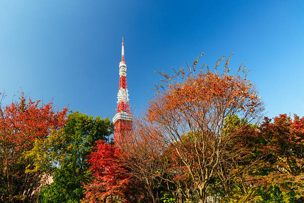 istock Tokyo Tower with Red Leaves in Sunlight under Blue Sky 2228279278