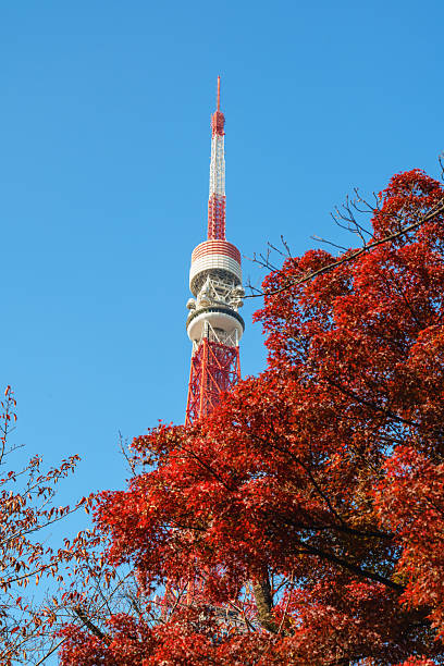 istock Tokyo Tower with Red Leaves in Sunlight under Blue Sky 2228279335