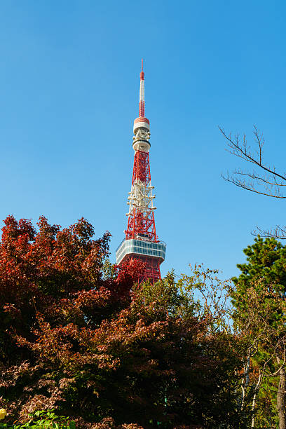 istock Tokyo Tower with Red Leaves in Sunlight under Blue Sky 2228279388