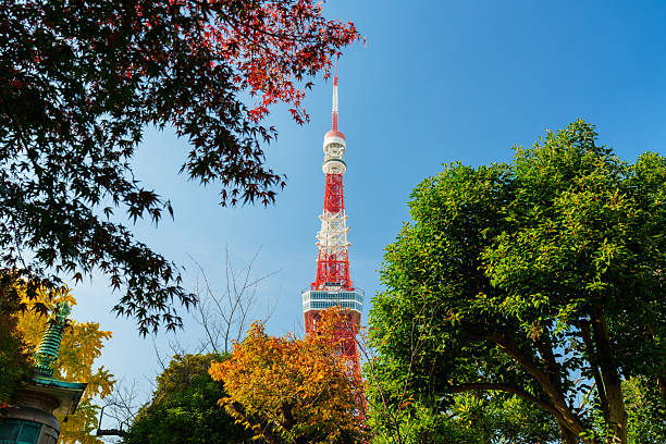istock Tokyo Tower in Sunlight under Blue Sky 2228279402