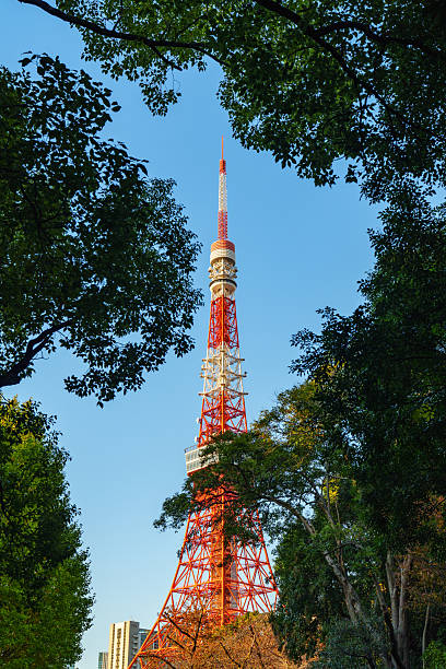 istock Tokyo Tower in Sunlight under Blue Sky 2228279467