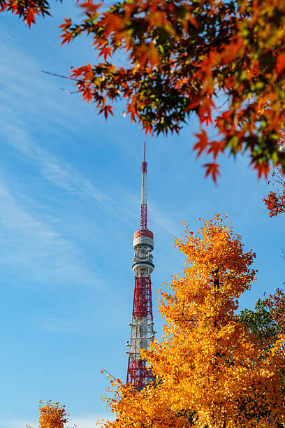 istock Tokyo Tower with Red Leaves in Sunlight under Blue Sky 2228279493
