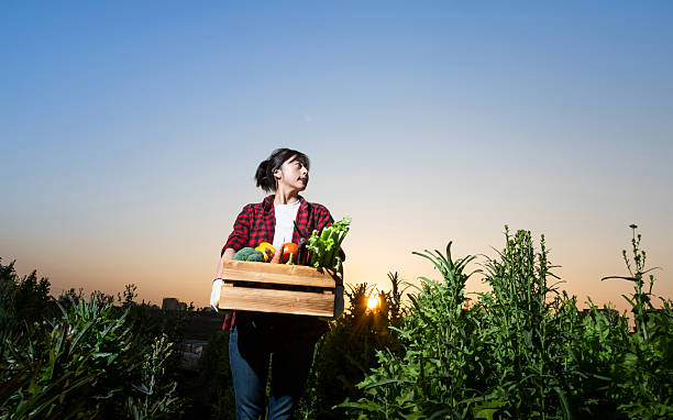 istock Female farmer carrying crate with vegetables 2228288826