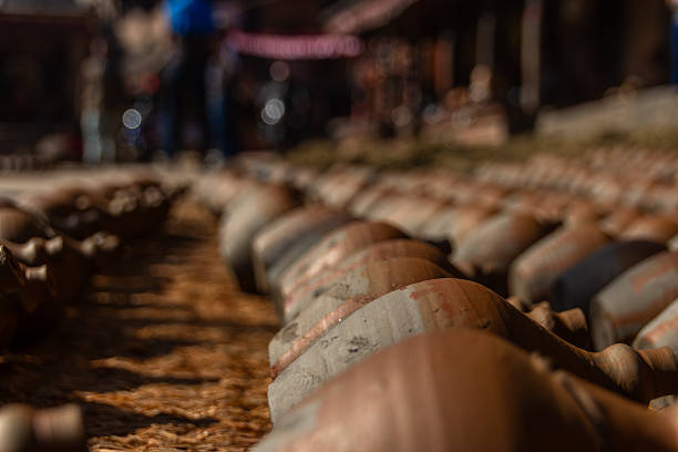 Newly made earthenware pots are laid out in rows on the ground to dry outdoors, with a blurred background suggesting a pottery workshop in Nepal.
