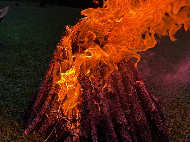 Campfire in a forest during a horseback riding tour near Ulaanbaatar, Mongolia