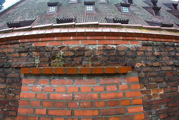Red brick wall and roof with windows.