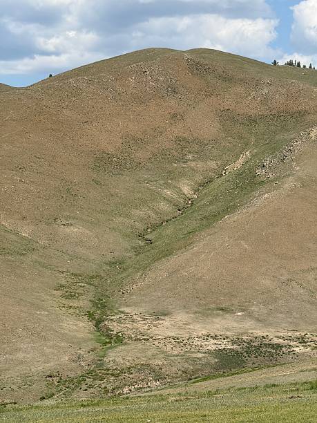 istock Grazing cattle and nomadic yurts on the grasslands near Ulaanbaatar, Mongolia, seen during a horse riding tour 2228297529