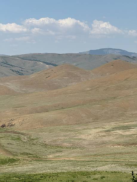 istock Grazing cattle and nomadic yurts on the grasslands near Ulaanbaatar, Mongolia, seen during a horse riding tour 2228298334