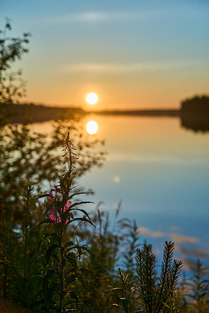 istock beautiful sunset at a lake in Finland in midsummer. 2228298968