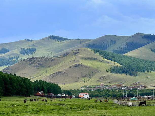 istock Grazing cattle and nomadic yurts on the grasslands near Ulaanbaatar, Mongolia, seen during a horse riding tour 2228299712