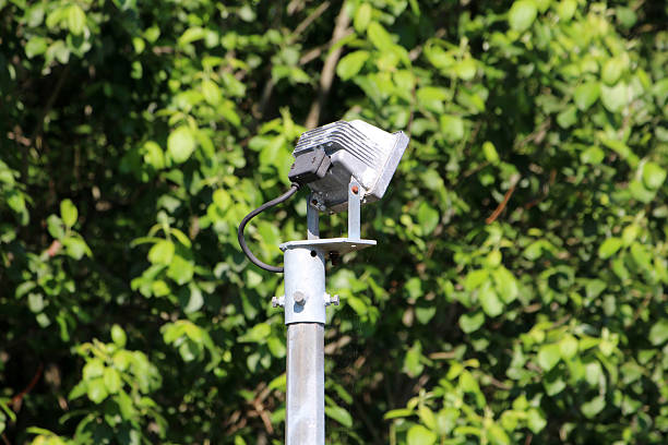 Outdoor floodlight fixture mounted on metal pole in greenery