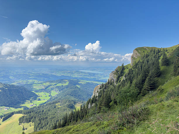 Scenic mountain view with lush green valley and pine trees under a bright blue sky with fluffy clouds. Beautiful natural landscape with rolling hills and distant water body. Nature and travel background.