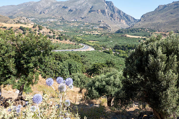 The south coast of Crete island is not as much touristic as the north shore, but beautiful too.