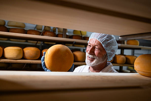 istock Traditional production of quality cheese. 2228312062