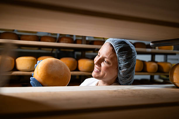 istock Making delicious cheese wheels out of high-quality milk. 2228312103