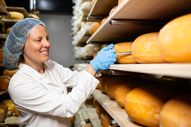 istock Technologist controlling food quality and taking sample of aged cheese wheel. 2228312180