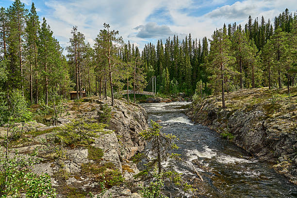 istock Dimforsen waterfall white water rapids in Jamtland, Sweden. 2228312471