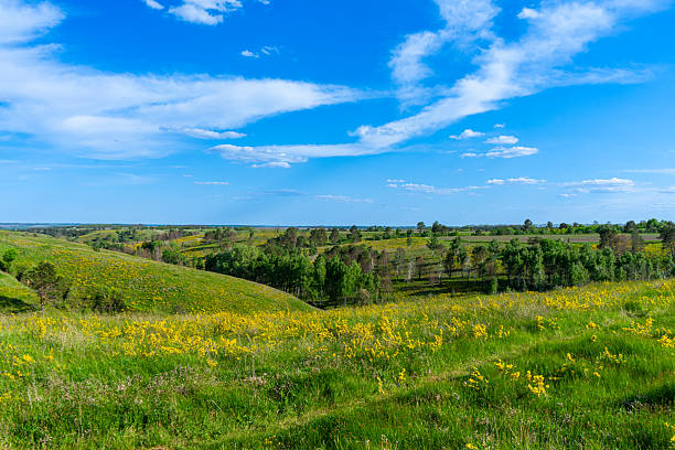 istock The 