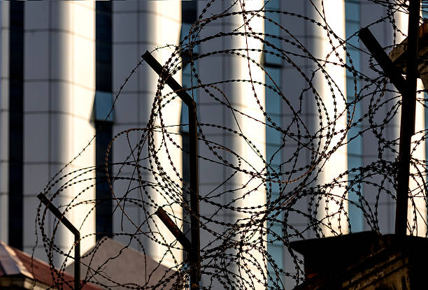 A close-up of tangled barbed wire silhouetted in the foreground, set against a modern building with vertical windows and pronounced shadows. The warm, angled lighting—likely from late afternoon or early morning—emphasises the contrast between the harsh wire and the structured architectural backdrop.