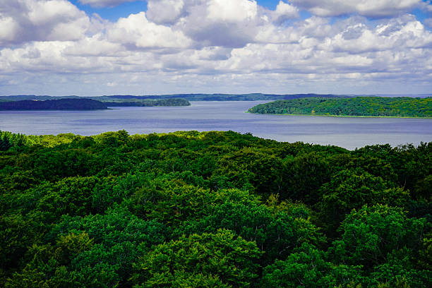 istock View over dense green forest to the small Jasmund Bodden with a cloudy sky and distant islands and headlands. The view over the trees, 18609 Binz on the island of Rügen 2228323644