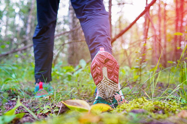istock Forest hike training session. Running on Trail. Shoe running. Walking in forest paths. 2228325427