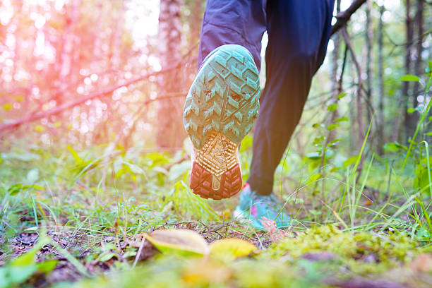 istock Forest hike training session. Running on Trail. Shoe running. Walking in forest paths. 2228325431