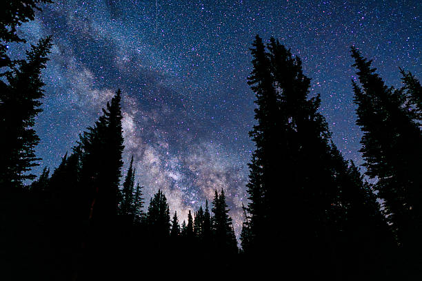 istock Milky Way Over Alpine Forest at Night 2228329027